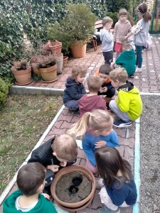 IMG20230324104704